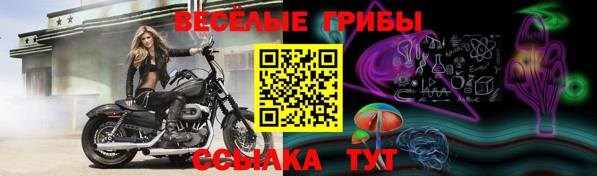 Подольск  Галлюциногенные грибы прущие грибы  Вход с VPN  Псилоцибиновые грибы Magic Shrooms 